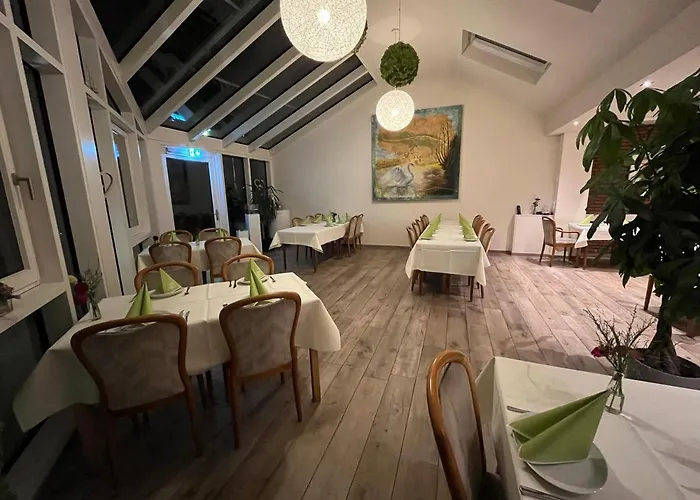 酒店 Restaurant Zum Schwan 戈赫